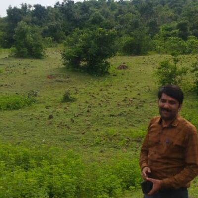 !!!! सब तरफ हरियाली!!!