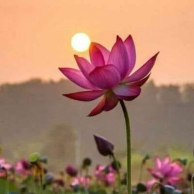 बुढ़ापा