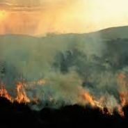 पर्यावरण और प्रकृति