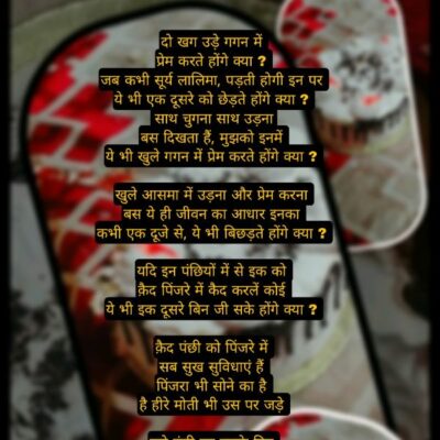 दो खग उड़े गगन में , प्रेम करते होंगे क्या ?