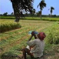 *स्वेद सिक्त कृषक*