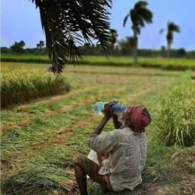 *स्वेद सिक्त कृषक*