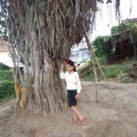 वो बरगद का पेड़