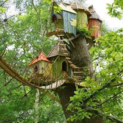 भोजपुरी ग़ज़ल