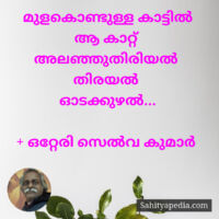 മുളകൊണ്ടുള്ള കാട്ടിൽ