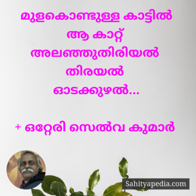 മുളകൊണ്ടുള്ള കാട്ടിൽ