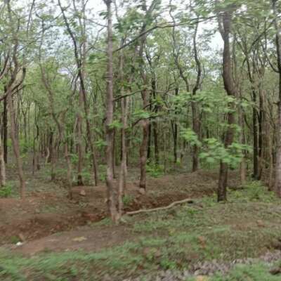 अजी क्षमा हम तो अत्याधुनिक हो गये है