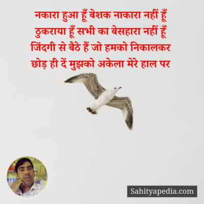 नकारा हुआ हूँ बेशक नाकारा नहीं हूँ