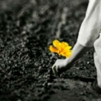 ज़िंदगी