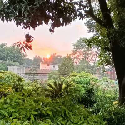 *शाकाहार (कुछ दोहे )*