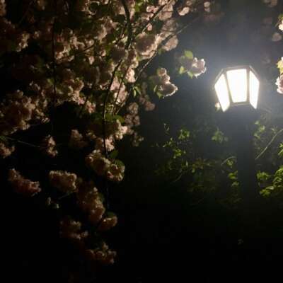 The flames of your love persist.