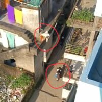 मां की ममता पिता का प्यार