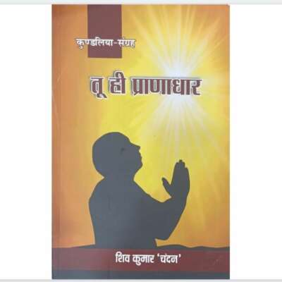 *पुस्तक समीक्षा*