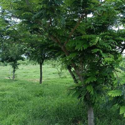 निराशा एक आशा