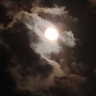 नजदीकियां हैं