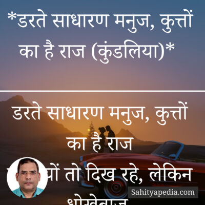 *डरते साधारण मनुज, कुत्तों का है राज (कुंडलिया)*