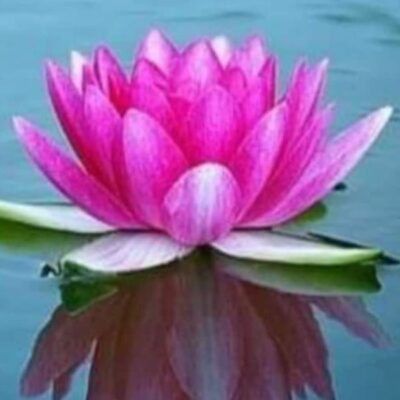 गुरु महादेव रमेश गुरु है,