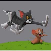 टॉम एंड जेरी