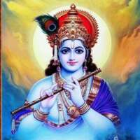 मेरा कृष्णा