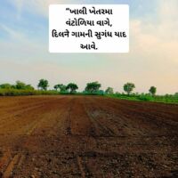 ખાલી ખેતરનો સૂર 🍃