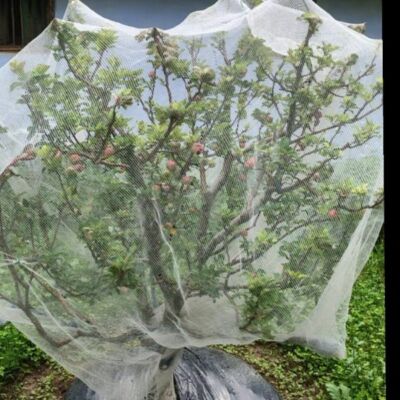 आज का दौर