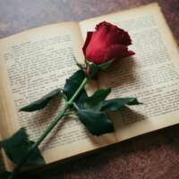 मोहब्बत मुकम्मल हो ये ज़रूरी तो नहीं...!!!!