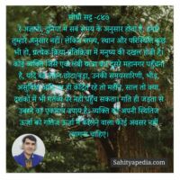 सीधी सट्ट -८४७