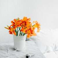 सारे यार देख लिए..