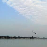 कविता(प्रेम,जीवन, मृत्यु)