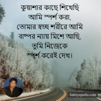 কুয়াশার কাছে শিখেছি