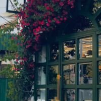 Underneath the bougainvillaea shade, the coffee shop did lie