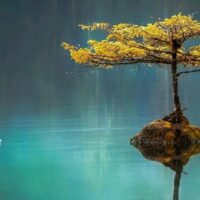 अगनित अभिलाषा