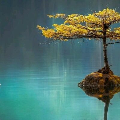 अगनित अभिलाषा