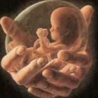 अजन्मी बेटी का दर्द !