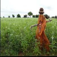 मत समझना....