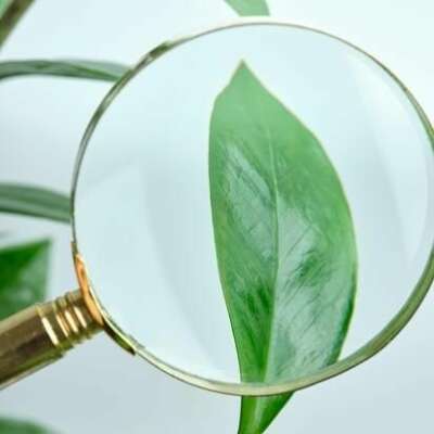 प्रेम - पूजा