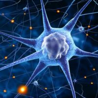 पढ़े - लिखें लोग