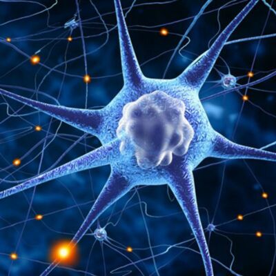 पढ़े - लिखें लोग