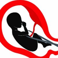 मुझे भी जीने दो (भ्रूण हत्या की कविता)