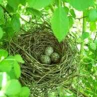 तिनका तिनका करके।