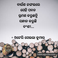 ବାଉଁଶ ଜଙ୍ଗଲରେ