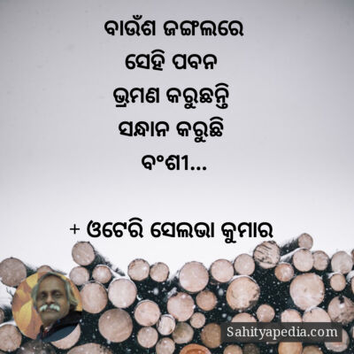 ବାଉଁଶ ଜଙ୍ଗଲରେ