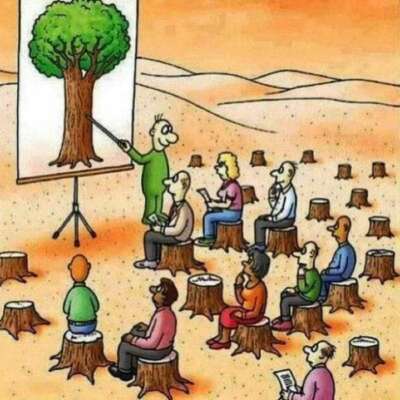 पेड़ पौधे से लगाव