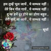 सम्भव नहीं ...