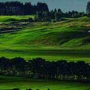 दुनियां फना हो जानी है।