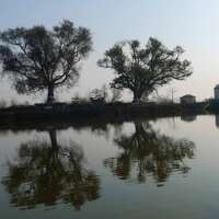 सर्दियों की धूप