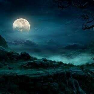 ✍️यहाँ सब अदम है...