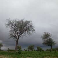 मुझे पता है।