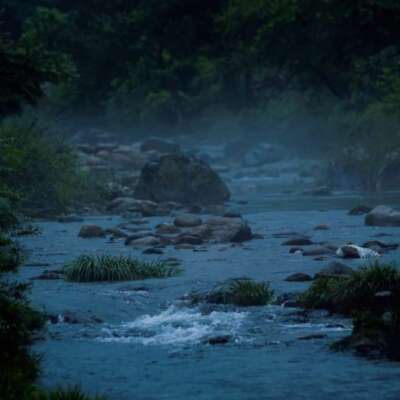 जब स्वयं के तन पर घाव ना हो, दर्द समझ नहीं आएगा।