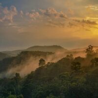 जीवन का सफर